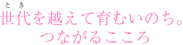 (Ƃ)zĈނ̂B
Ȃ邱