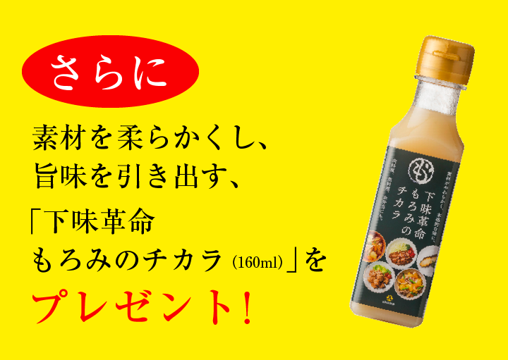 ɑfނ_炩A|oAuv ݂̃`Ji160mljvv[g܂I