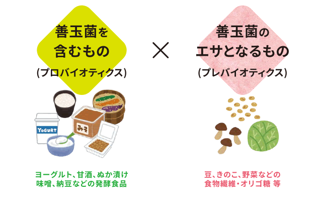 善玉菌を含むもの(プロバイオティクス)発酵食品　善玉菌のエサとなるもの(プレバイオティクス)食物繊維・オリゴ糖 等