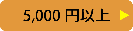 5,000円以上