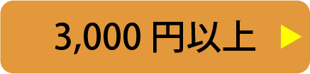 3,000円以上
